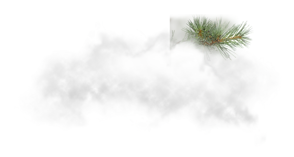 bg2
